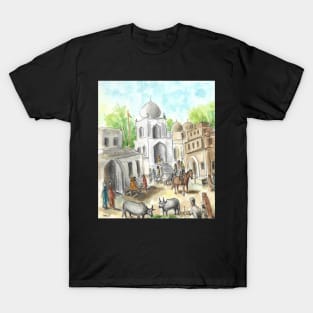 Punjab Village 2 T-Shirt